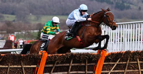 cheltenham champion hurdle betting|2023 Champion Hurdle Ante.